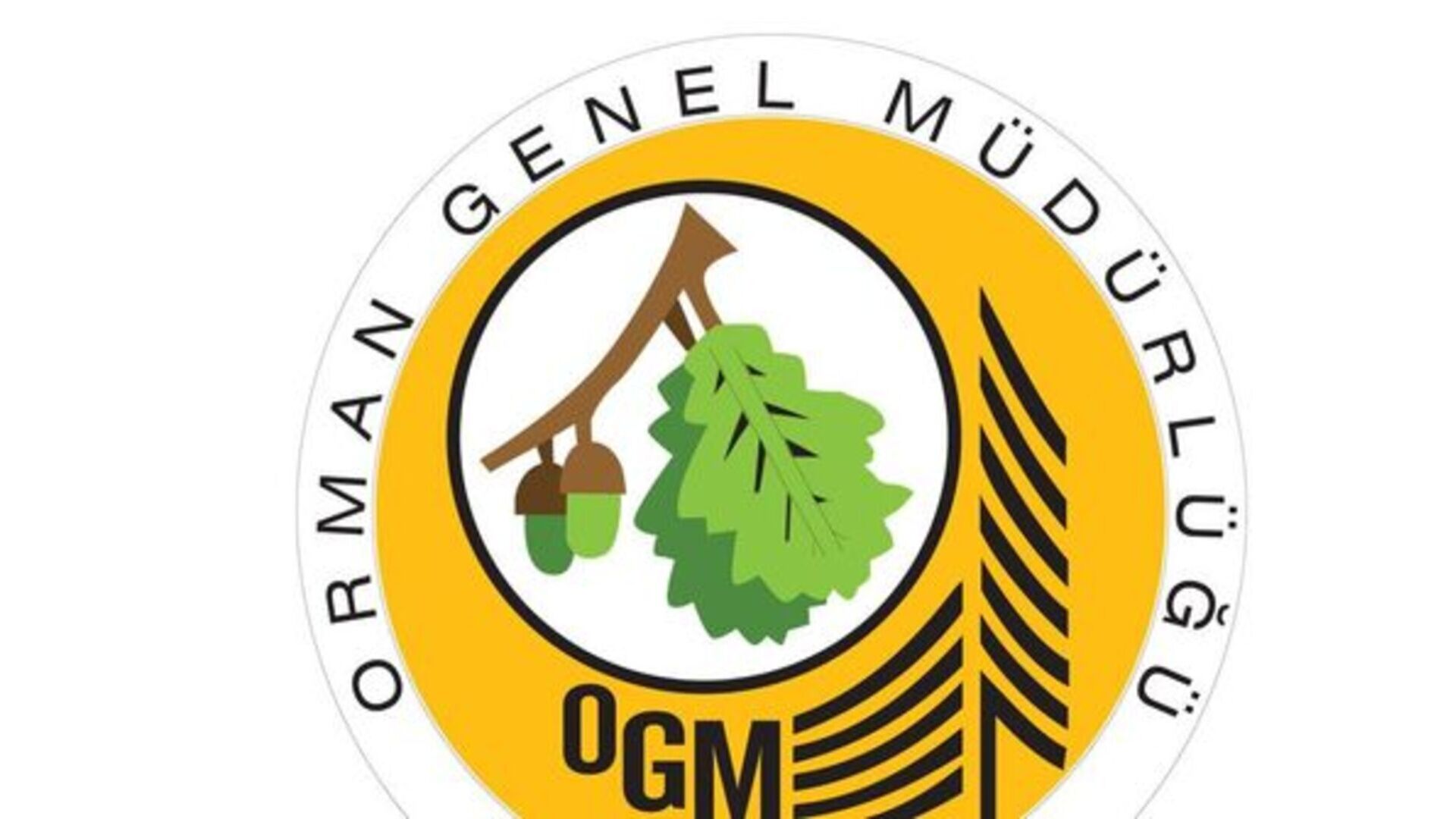 OGM personel alımı başvuru ekranı: 2025 OGM personel alımı başvurusu nasıl yapılır, şartları nelerdir?