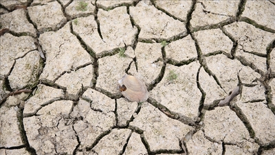 İran'dan kuraklık için işbirliği çağrısı