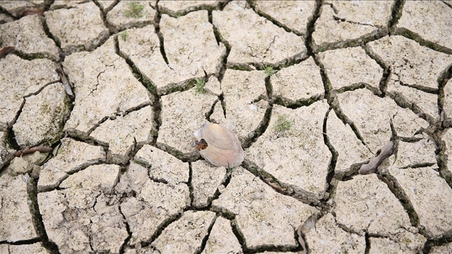 İran'dan kuraklık için işbirliği çağrısı
