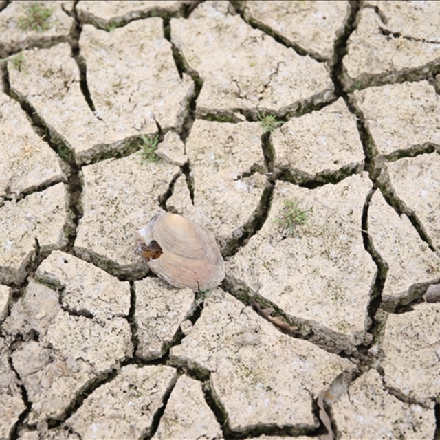 İran'dan kuraklık için işbirliği çağrısı