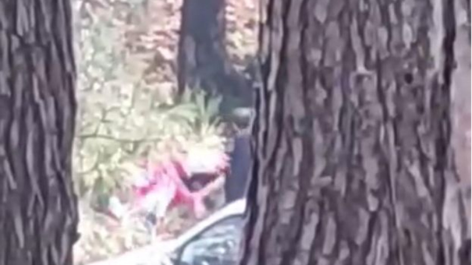 Ormanlık alanda darp!