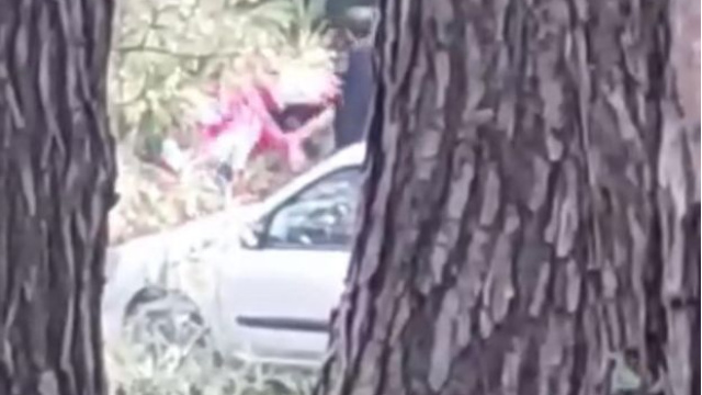 Ormanlık alanda kadına darp kamerada!