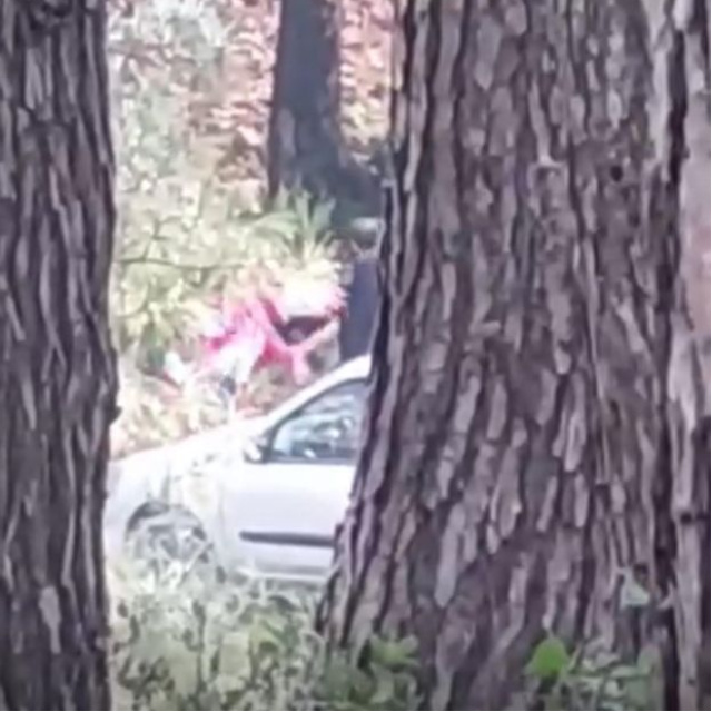 Ormanlık alanda kadına darp kamerada!