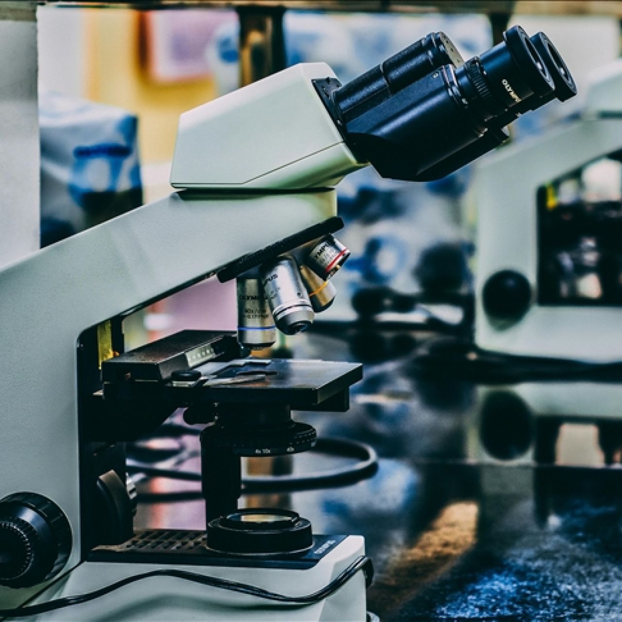 Türk ve Avrupalı araştırmacılar, kişiselleştirilmiş tedavileri birlikte geliştirecek