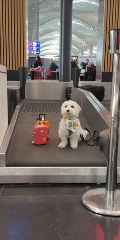 Dünya turundaki Tofu İstanbul Havalimanı’nda