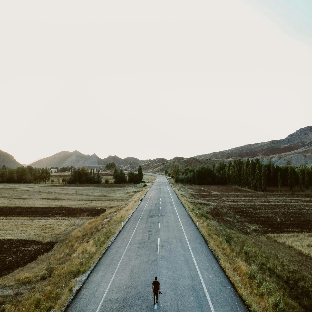 Erzincan - Erzurum kaç kilometre?
