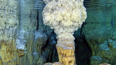 Kirpiyi takip eden çoban keşfetmişti! Böyle görüntülendi