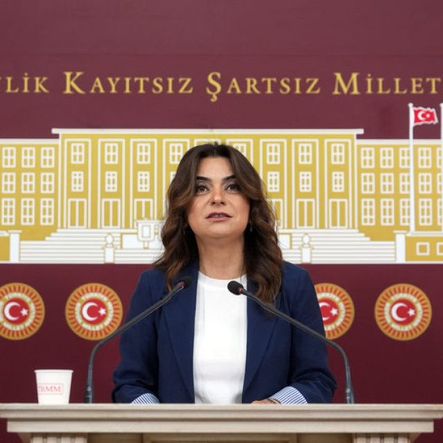 DEM, özet metne mi, Öcalan'a mı itiraz ediyor?