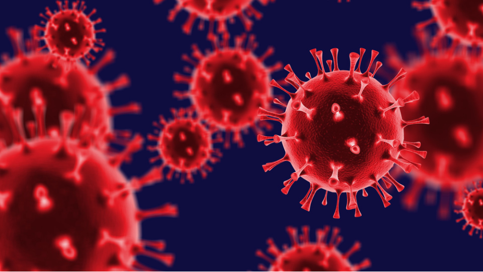 İspanya'dan grip salgınına Covid önlemleri