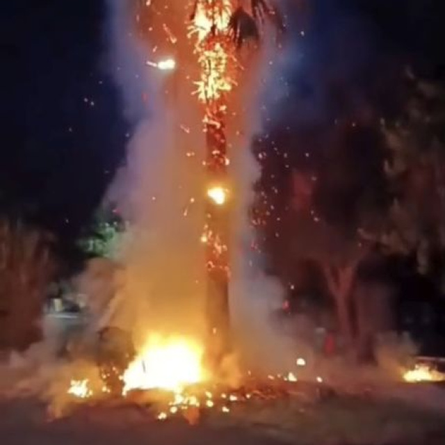 15 yıllık ağacı ateşe verdiler!