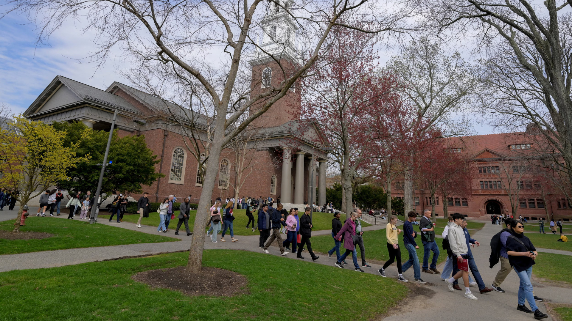 Harvard Anketi: ABD'de Gençlerin Yarısından Fazlası Ülkenin Gidişatından Memnun Değil