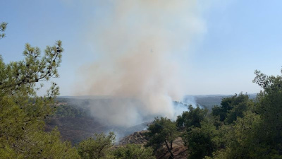 Orman kundakçısına 10 yıl hapis istemi