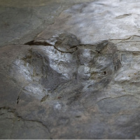 16 bin 600 ayak izli 'dinozor otoyolu'