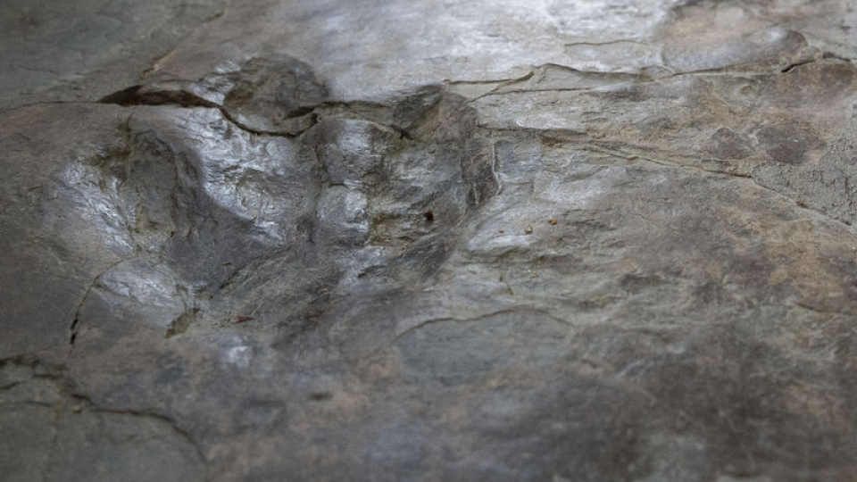 16 bin 600 ayak izli 'dinozor otoyolu'