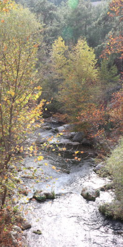 Sarp ve dik kayaçlardan oluşan doğa harikası