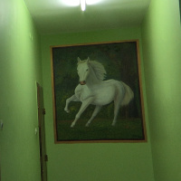 İstanbul Modern Sinema'da 'Bakma Eylemi'