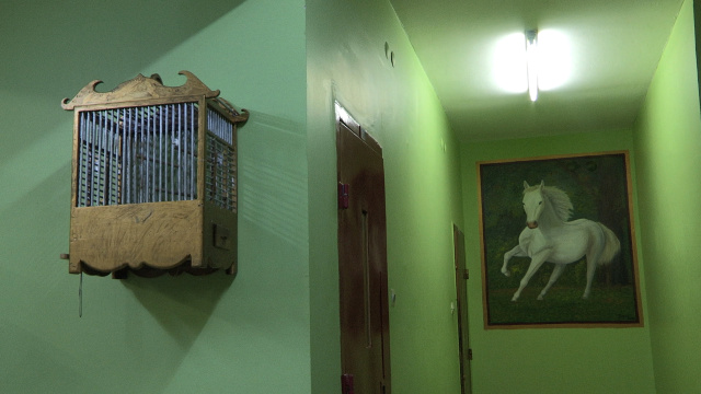 İstanbul Modern Sinema'da 'Bakma Eylemi'