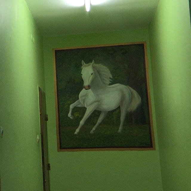 İstanbul Modern Sinema'da 'Bakma Eylemi'