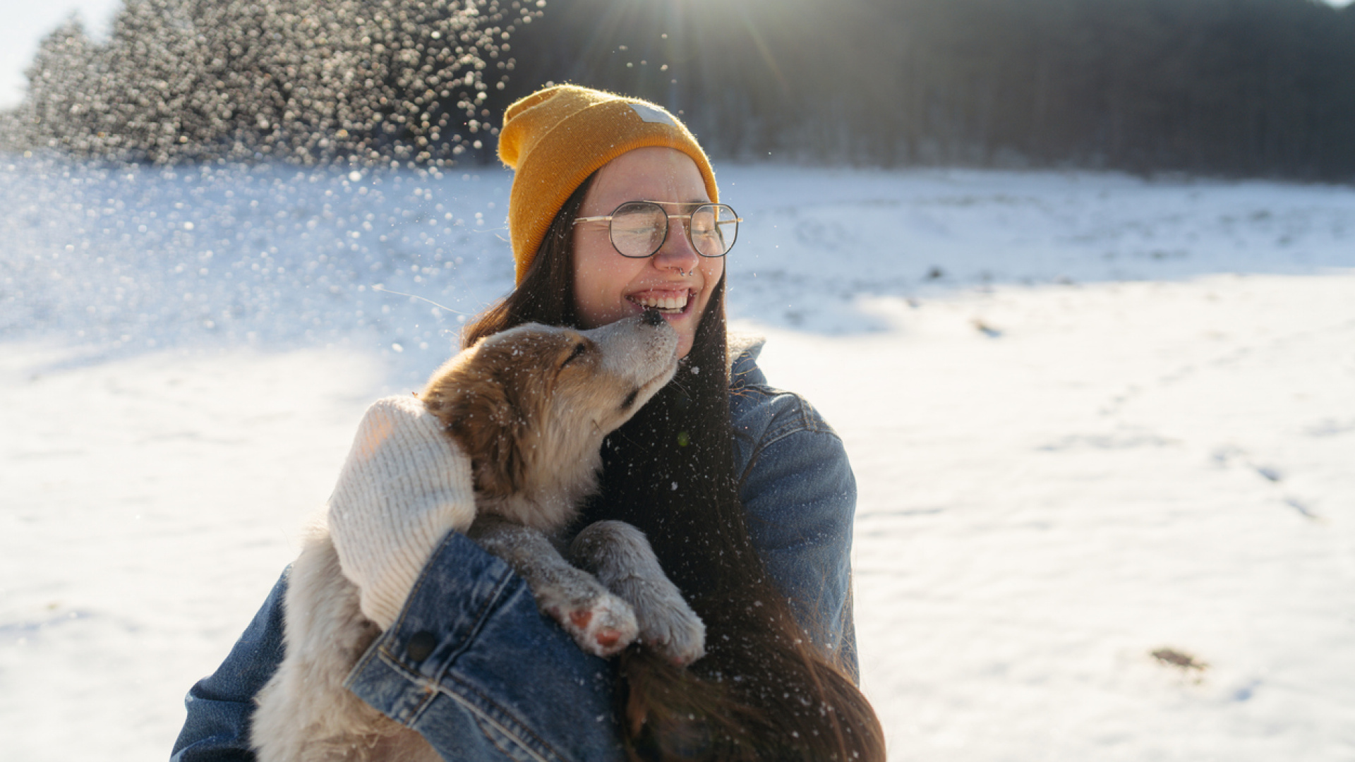 Patileri koruyun! Kış hastalıklarına karşı evcil hayvanlarınızı soğuktan korumanın ve sağlıklı tutmanın yolları!