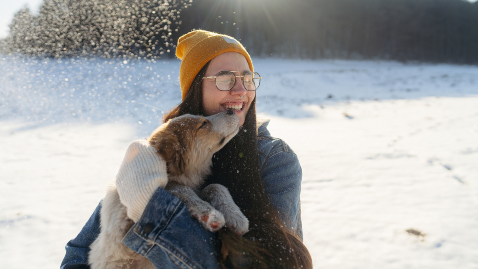 Patileri soğuktan koruyun!