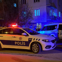 Annesini darbeden babasına saldırdı