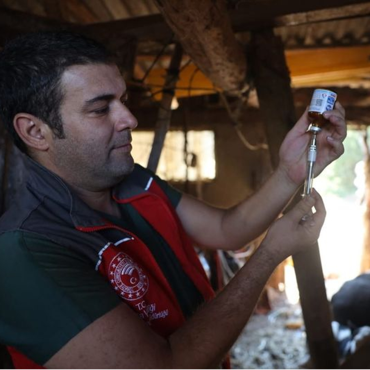 Milas'ta 'şap' alarmı! 11 mahallede 30 günlük karantina