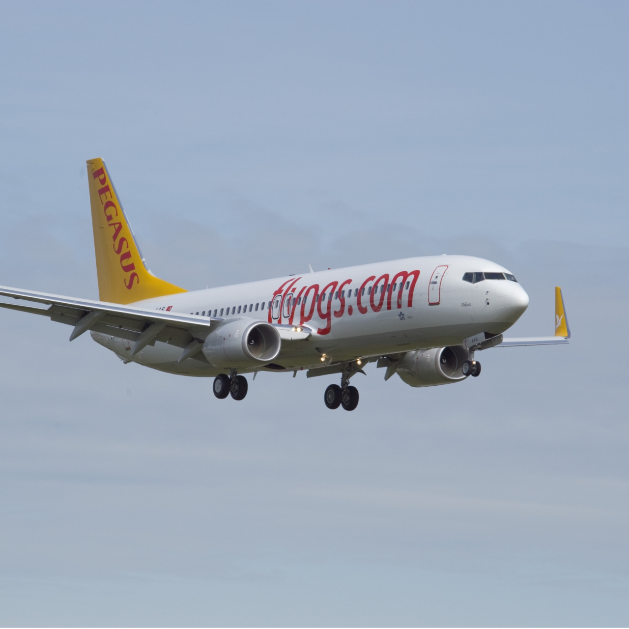 Pegasus, Çek Hava Yollarını satın alarak büyümeye devam ediyor!