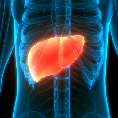 Türkiye’de her 2 kişiden 1’i yağlı karaciğer hastası