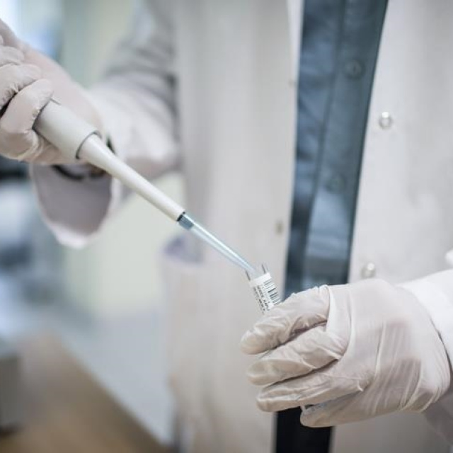 Araştırma: Trombositler dondurularak iki yıla kadar saklanabilir