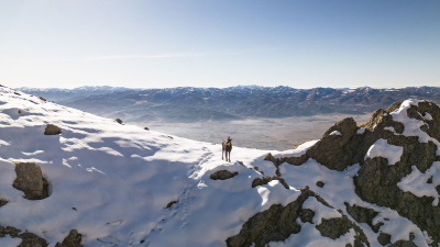 Dağcıları karşılıyor! Avlanması yasak...