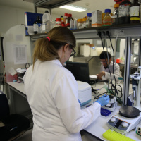 TURKOVAC'ın mimarlarından yeni müjde! KKKA'ya yerli aşı geliyor