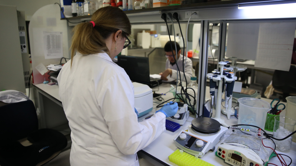 TURKOVAC'ın mimarlarından yeni müjde! KKKA'ya yerli aşı geliyor