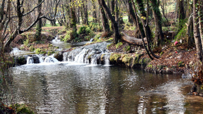 İstanbul'un yanı başındaki doğal güzellik