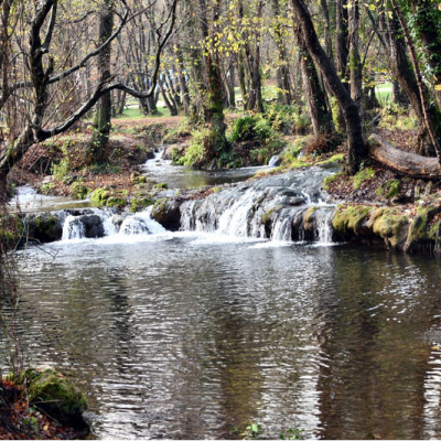 İstanbul'un yanı başındaki doğal güzellik