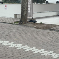 Bulduğu 60 bin doları polise teslim etti