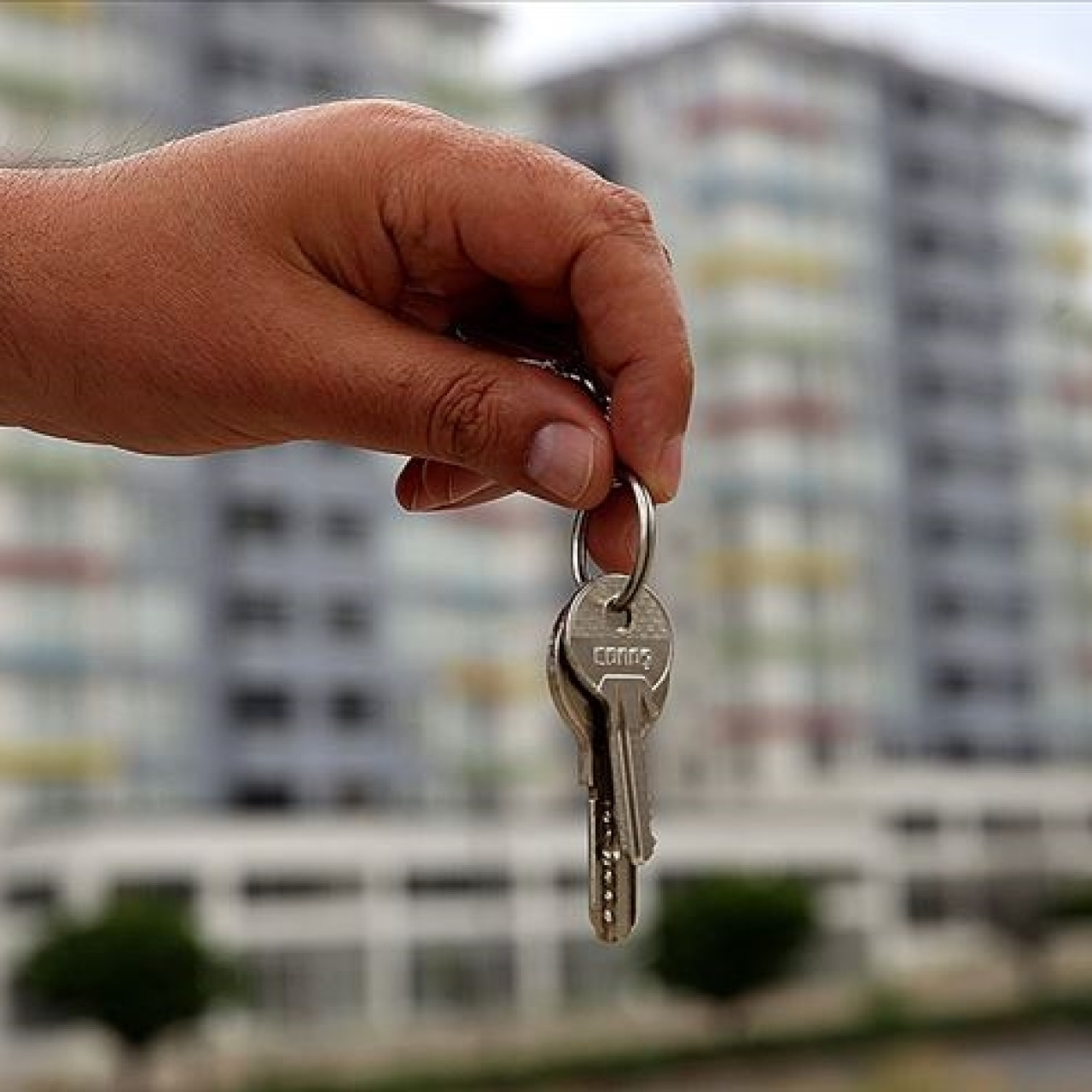 Kiracı-ev sahibi olaylarına inceleme