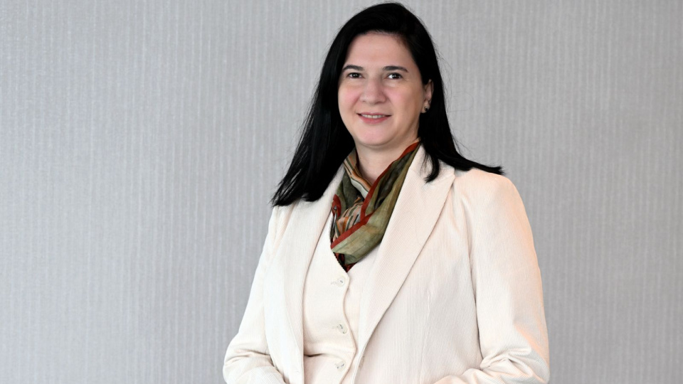 Türkiye yatırımcı profili çıkarıldı