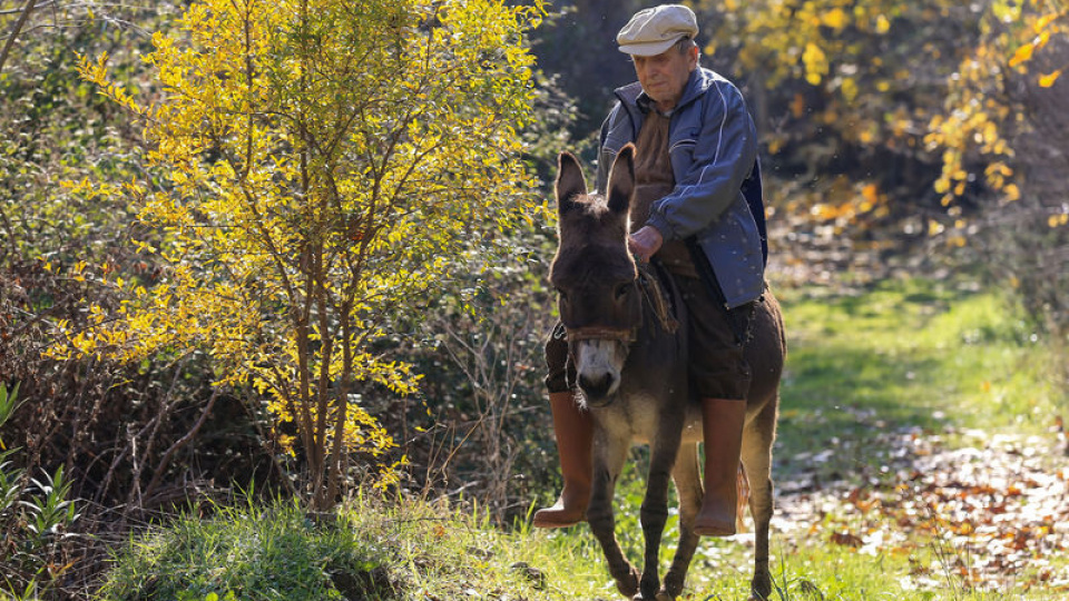 Raif dede yolunu 24 yıldır 'Magare' ile buluyor