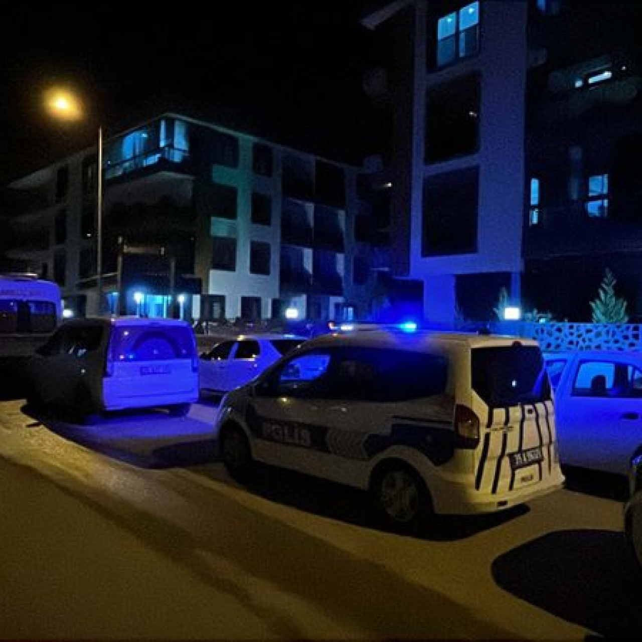 Ailenin küçük oğlu katil çıktı
