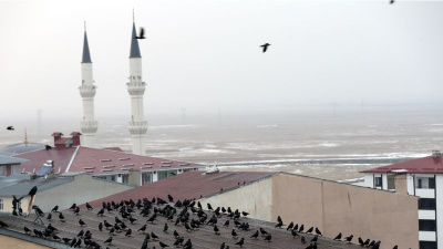 Kuşların dansı büyüledi