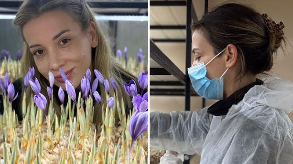 Mali müşavirdi mesleği bıraktı! 1 gramı 700 TL!