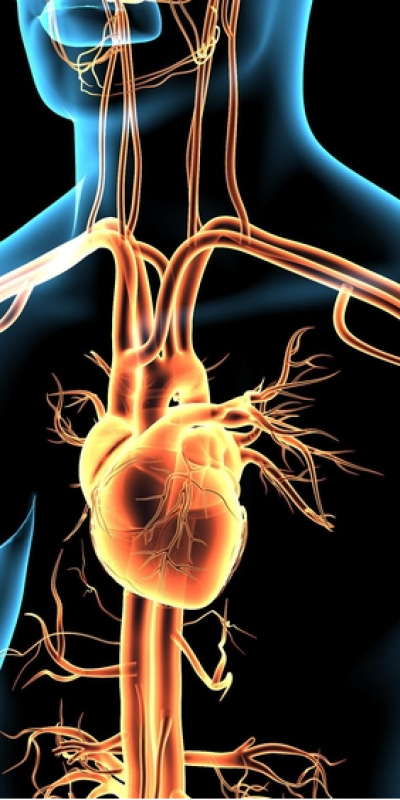 Kalp çarpıntısında ne zaman acil yardım gerekir?