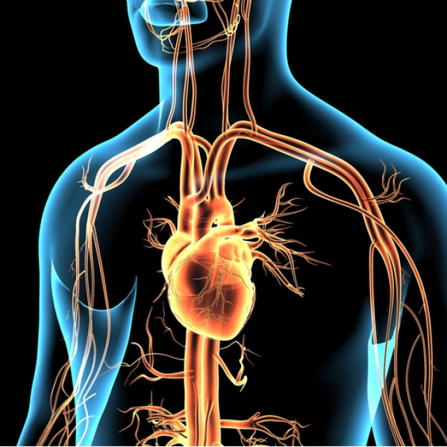 Kalp çarpıntısında ne zaman acil yardım gerekir?