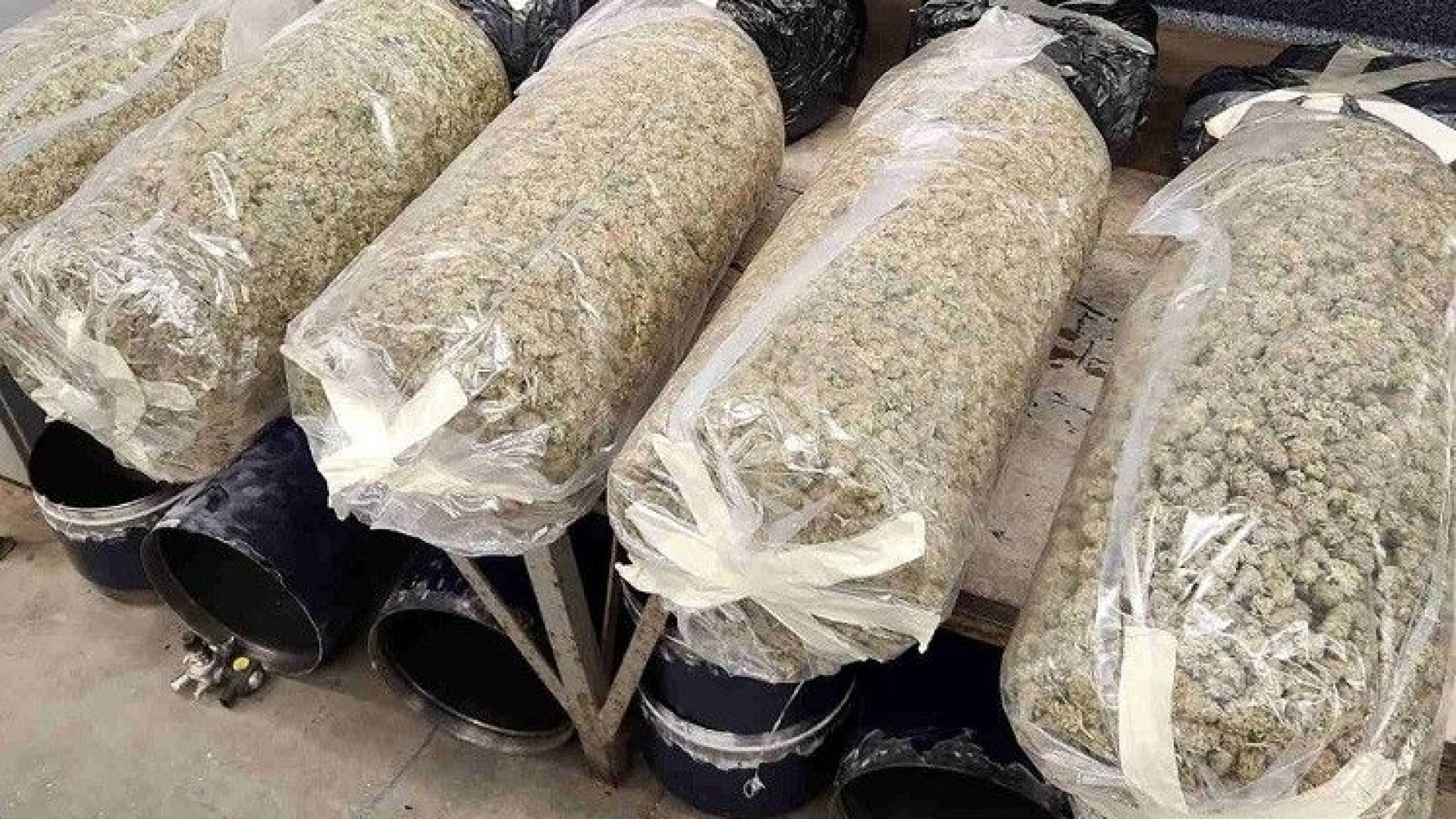 Son dakika: Kırklareli'de oto gaz tüplerine gizlenen 70 kilo esrar yakalandı | Son dakika haberleri