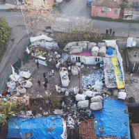 Ataşehir'de kaçak at kesimi iddiası: 2 gözaltı