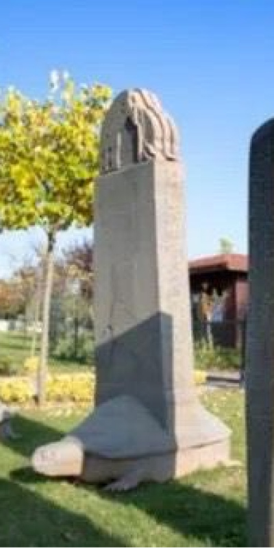 'Türk Dili'nin küresel zaferi'