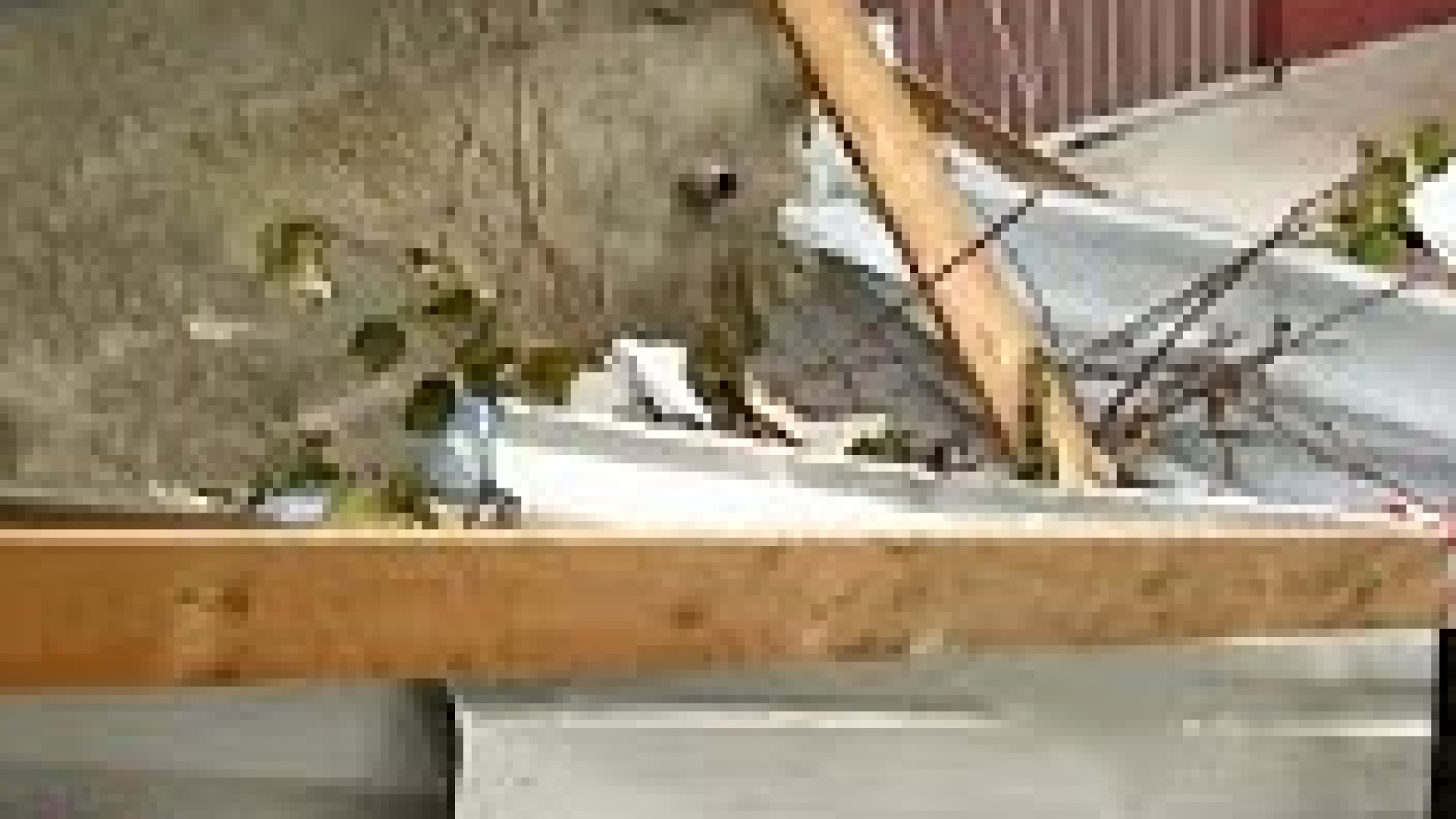 Merdivenlerin yarısı moloz doldu! | Son dakika hab…