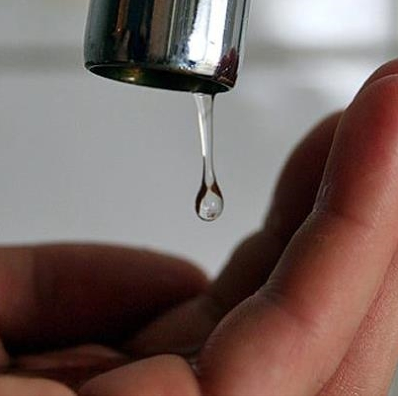 Su kesintisi sorgulama ekranı