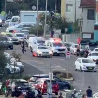 Avustralya'da silahlı saldırı