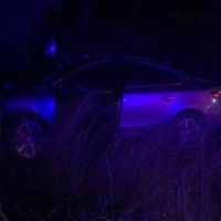 Datça’da trafik kazası 2 ölü